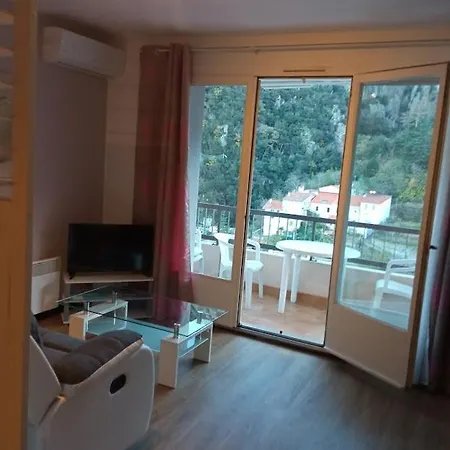 Apartment Les Bains Exposition Sud Gorges Du Mondony 6eme Etage